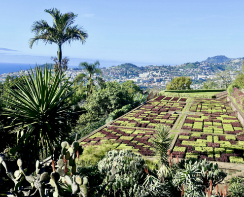 Madeira Botanical Gardens - visit Madeira